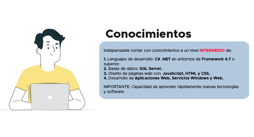 Bolsa de Trabajo Programador Analista C